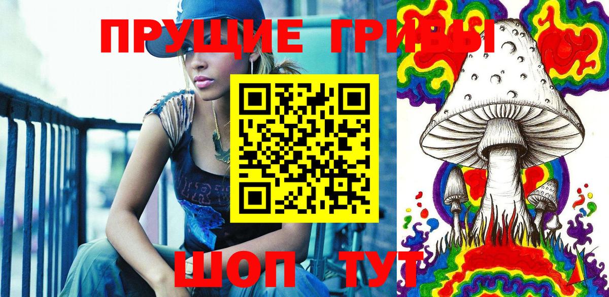 Галлюциногенные грибы Cubensis  Вход с VPN  Людиново 